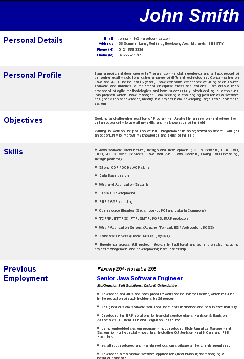 Curriculum vitae example picture